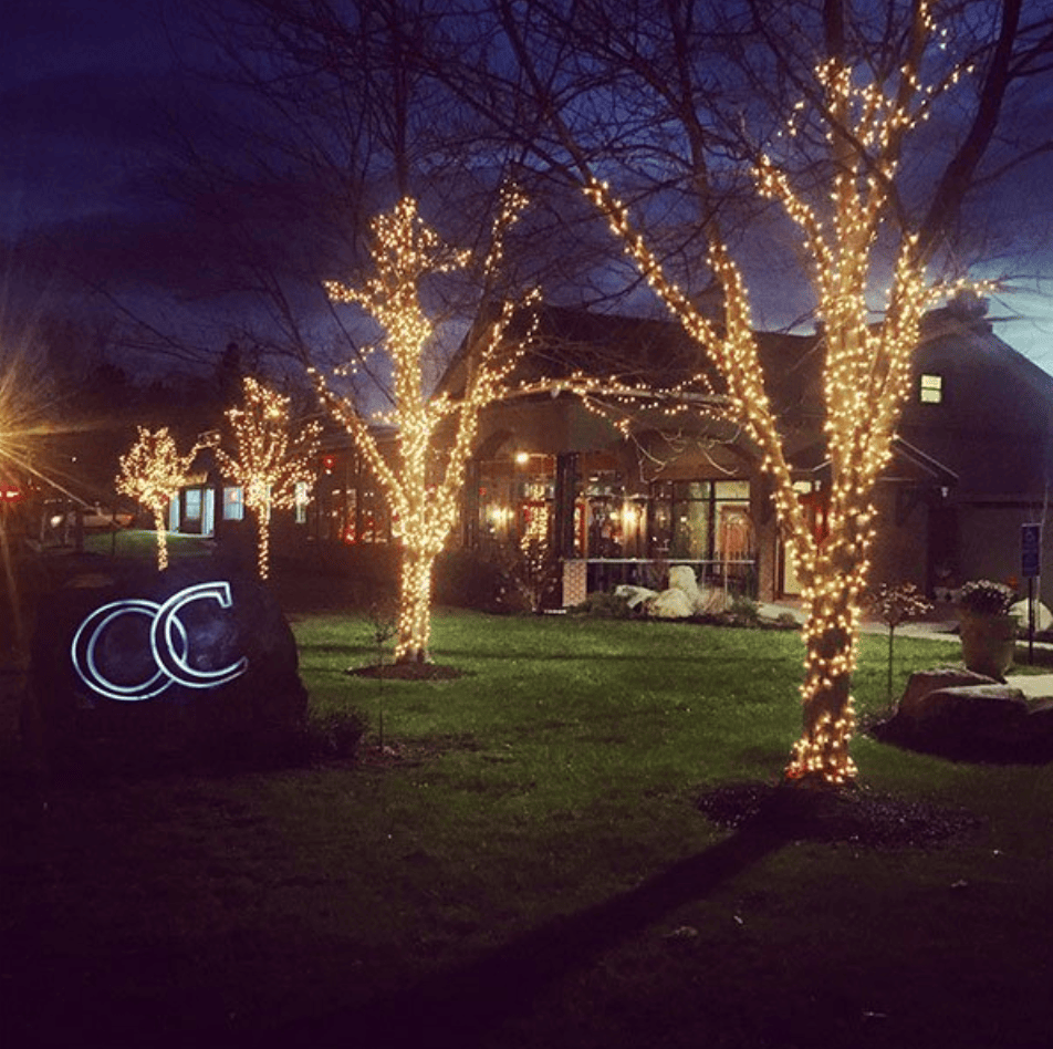 Photo of christmas lights on trees outside of restaurant